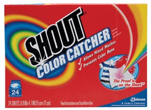 New $1.00 off any TWO Shout products Coupon